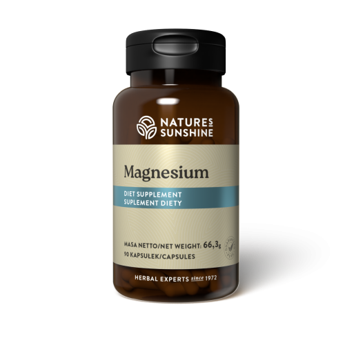 magnes.png