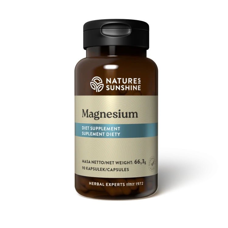 magnes.png