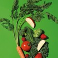 b1086f923dffc5f3846e910f28dd2f51.jpg