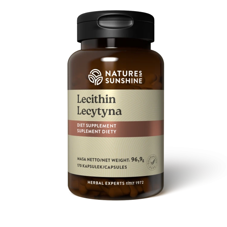 LECYTYNA.png